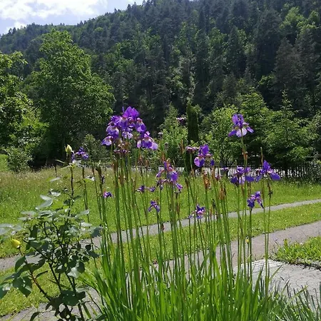 Dom wakacyjny Carev Krivaja Olovo (Zenica-Doboj)