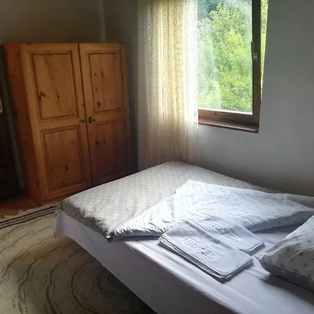 Dom wakacyjny Carev Krivaja